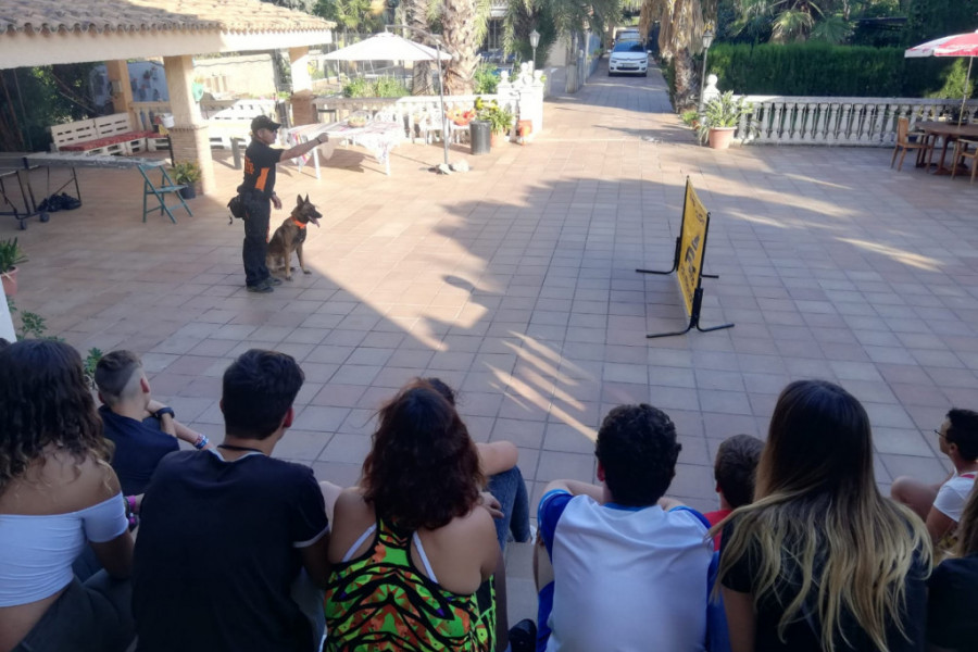 Los jóvenes atendidos en los centros ‘Mas del Termet’ y ‘Plana Baixa’ asisten a una exhibición de la Unidad Canina de Búsqueda y Rescate de Castellón. Fundación Diagrama. Comunidad Valenciana 2019. 