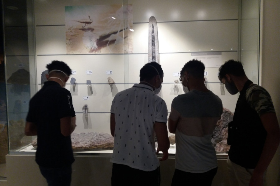Los jóvenes atendidos en el Hogar ‘La Atalaya’ en Villena (Alicante) amplían sus conocimientos sobre la prehistoria en el Museo Paleontológico de Elche. Fundación Diagrama. Comunidad Valenciana 2020.