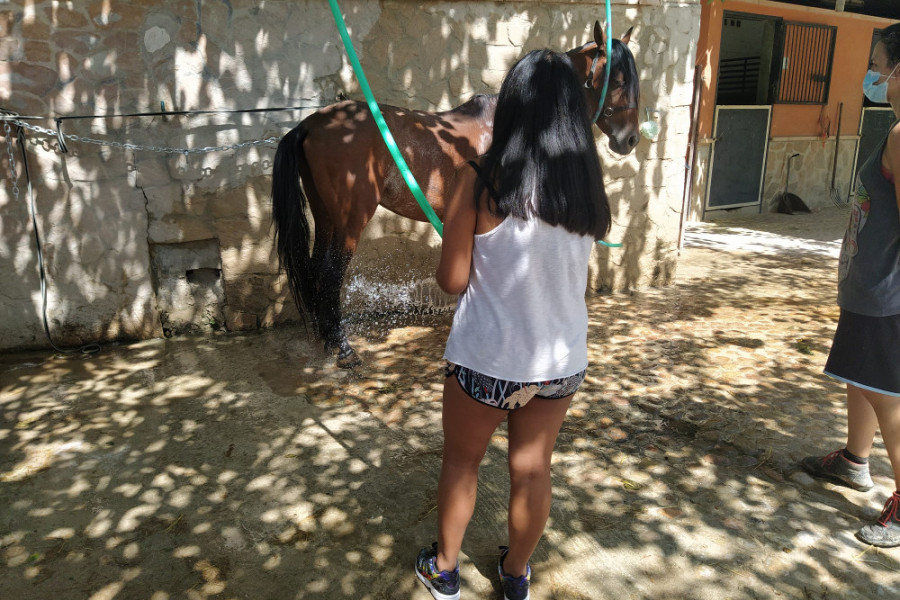 Los jóvenes atendidos en el Hogar ‘Oriola’ de Orihuela (Alicante) llevan a cabo una jornada de voluntariado con caballos. Fundación Diagrama. Comunidad Valenciana 2020.