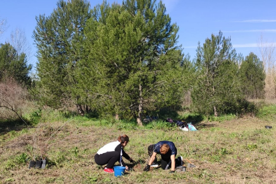 Los jóvenes atendidos en ‘Pi i Margall’ de Burjassot (Valencia) colaboran en una actividad medioambiental de plantación de pinos y recogida de residuos. Fundación Diagrama. Comunidad Valenciana 2020.