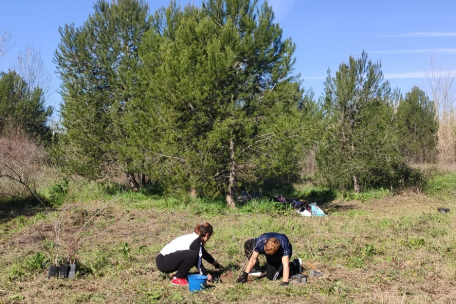 Los jóvenes atendidos en ‘Pi i Margall’ de Burjassot (Valencia) colaboran en una actividad medioambiental de plantación de pinos y recogida de residuos. Fundación Diagrama. Comunidad Valenciana 2020.