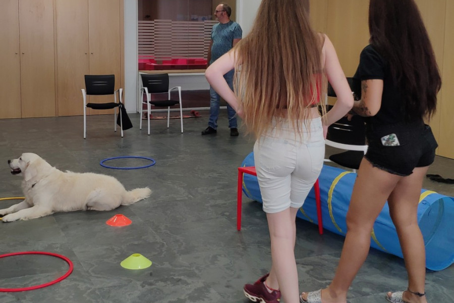 Los jóvenes atendidos en el Programa de Medio Abierto de Valencia participan en una actividad de ocio asistido con perros. Fundación Diagrama. Comunidad Valenciana 2019.