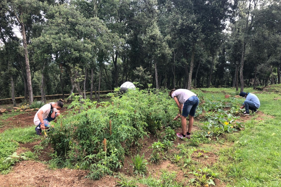 Los jóvenes atendidos en el Servicio ‘Estany’ de Sant Gregori (Girona) realizan una donación solidaria de alimentos cultivados por ellos mismos. Fundación Diagrama. Cataluña 2020. 