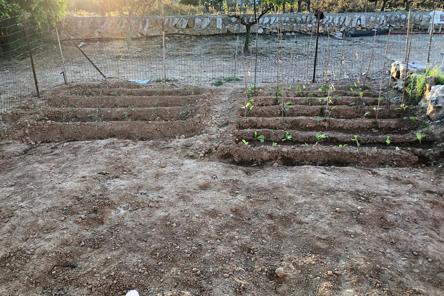 Los jóvenes atendidos en el Servicio de Primera Acogida ‘Ebre III’ en Freginals (Tarragona) instalan un huerto ecológico en el centro. Fundación Diagrama. Cataluña 2020.