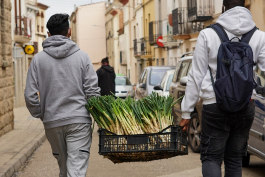 Jóvenes atendidos en el Servicio de Primera Acogida 'Mestral III' de Els Hostalets de Pierola (Barcelona) participan en una calçotada popular. Fundación Diagrama. Cataluña 2022.