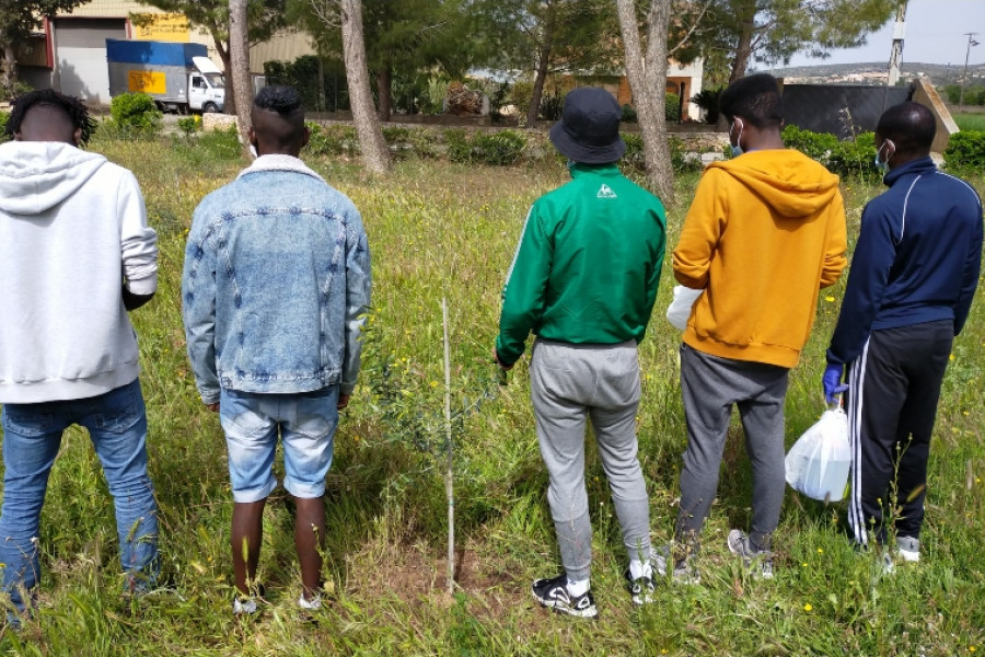 Los jóvenes atendidos en el SPAAI ‘Ullals III’ de Ulldecona (Tarragona) colaboran en una iniciativa medioambiental de plantación de olivos
