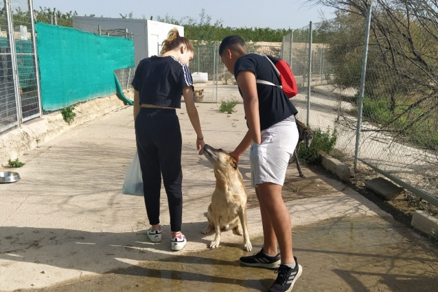 Jóvenes del hogar ‘Oriola’ de Orihuela realizan una actividad de voluntariado en el Centro de Protección Animal de Las Torres de Cotillas (Murcia). Fundación Diagrama 2022