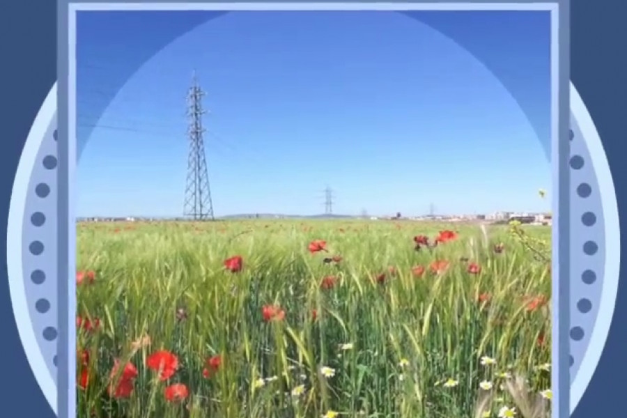 Los jóvenes del Programa para el fomento de la empleabilidad de Castilla y León participan en una iniciativa fotográfica sobre la desescalada. Fundación Diagrama. Castilla y León 2020.