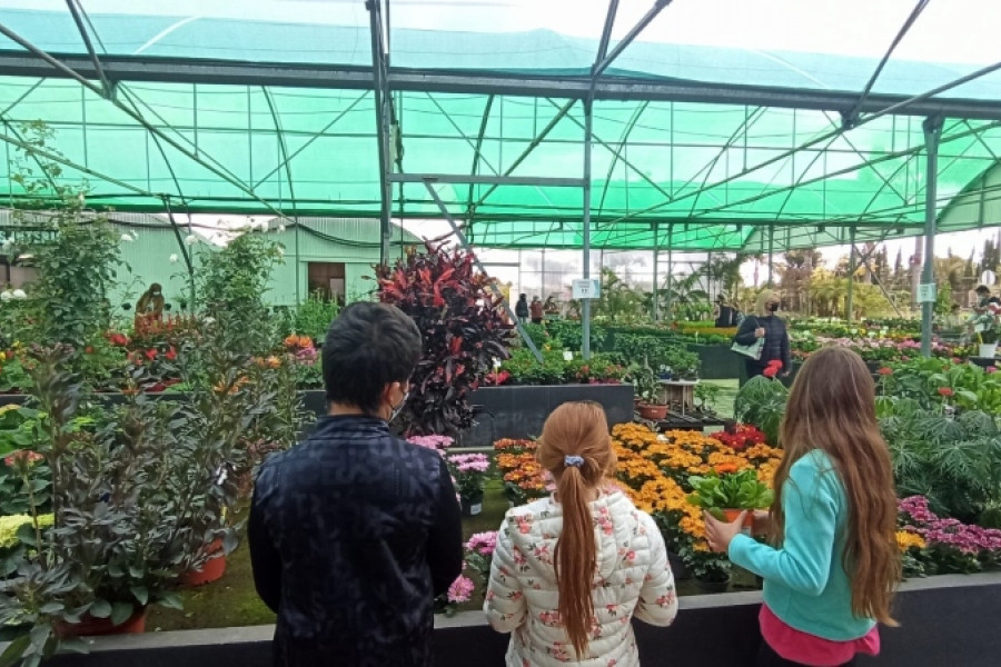 Los jóvenes de la residencia 'Sant Sebastià' de Vinaròs (Castellón) participan en el taller medioambiental ‘Creando con la naturaleza’