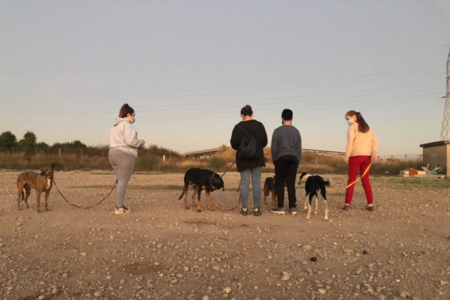 Los jóvenes de la Residencia ‘Torrent III’ (Valencia) llevan a cabo una actividad de voluntariado en el refugio de animales ‘Petjades Trobades’