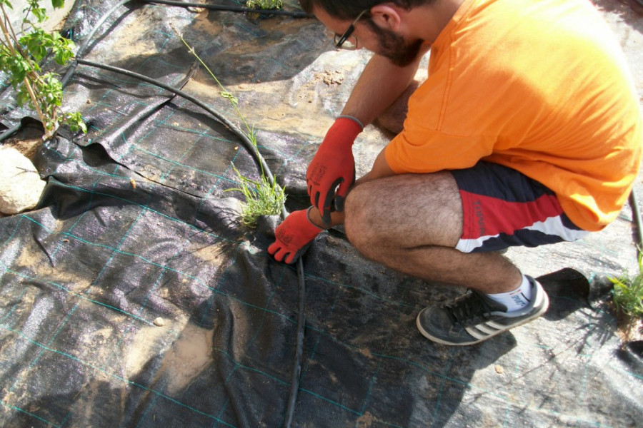 Módulo para adquirir el Certificado Profesional de Nivel II de Mantenimiento y Mejora de Jardines y Zonas Verdes 2017. Fundación Diagrama. Centro 'Las Moreras'. 