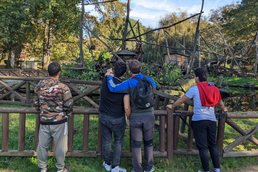 Tres menores y un educador observan una macaca cangrejera subida en una liana