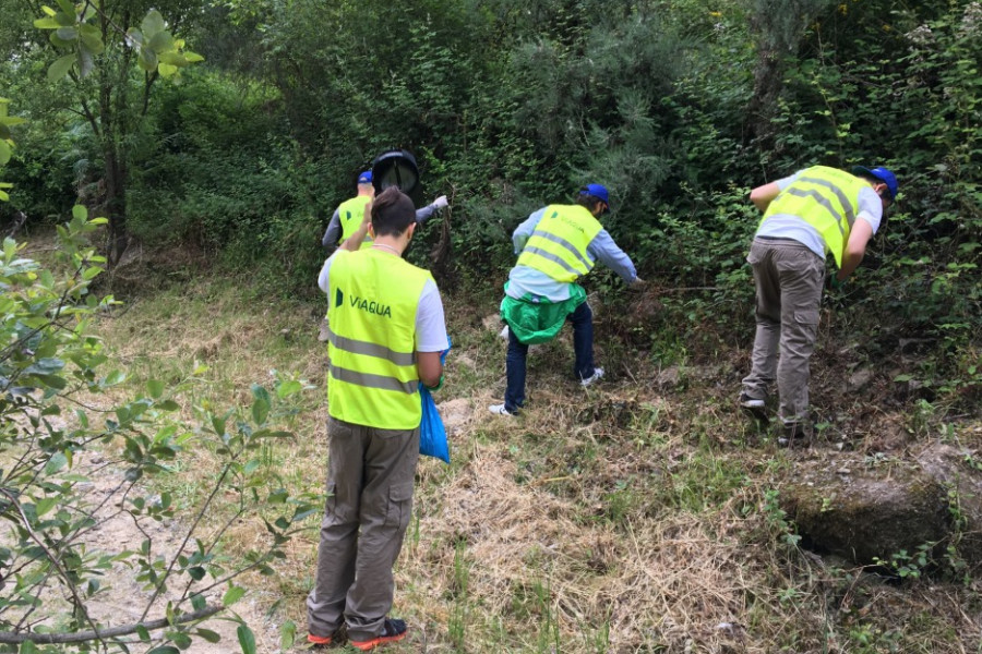 I Jornada de Voluntariado Ambiental. 'Montefiz' (Orense). Fundación Diagrama.