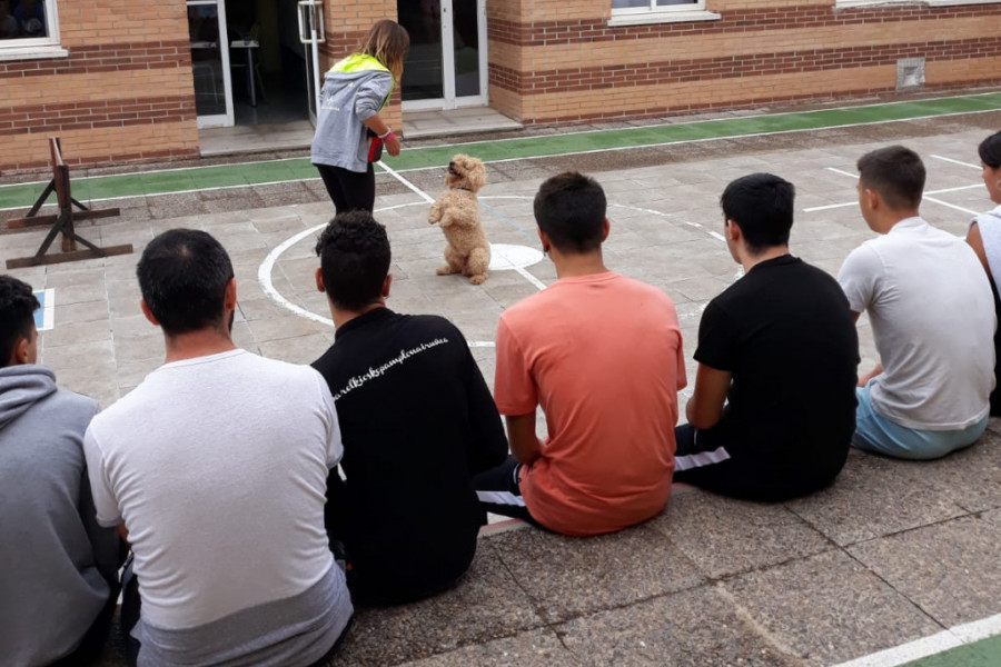 Los menores atendidos en el centro de acogida ‘Baix Maestrat’ de Vinarós (Castellón) visitan a las instalaciones de la Escuela Canina Baracán. Fundación Diagrama. Comunidad Valenciana 2019. 