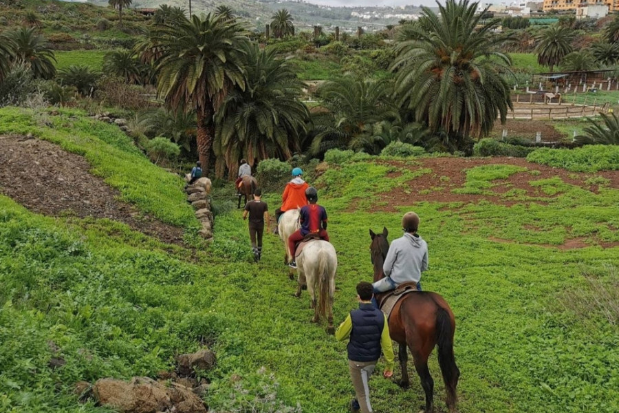 Los jóvenes atendidos en el centro ‘Cardones’ de Las Palmas de Gran Canaria realizan una ruta a caballo por el municipio de Arucas