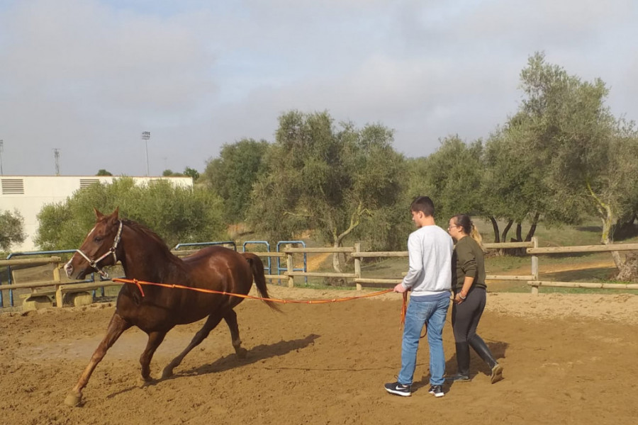 Los menores atendidos en el centro ‘El Limonar’ de Alcalá de Guadaíra (Sevilla) realizan un programa de intervención asistida con caballos. Fundación Diagrama. Andalucía 2019. 