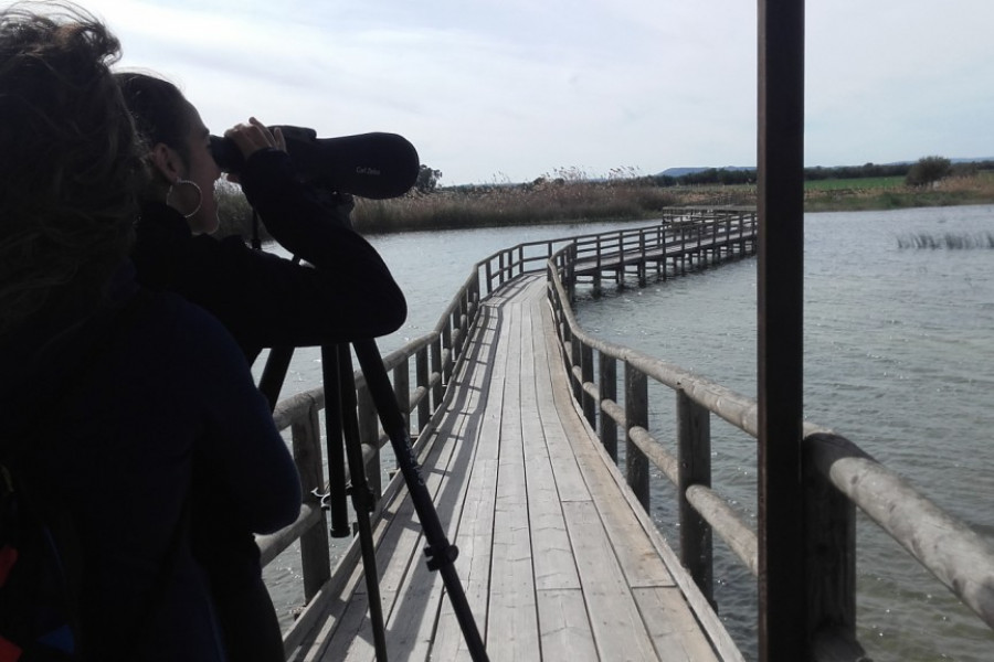 Los menores atendidos en el centro ‘Els Reiets’ de Alicante visitan el Parque Natural El Hondo. Fundación Diagrama. Comunidad Valenciana 2019. 