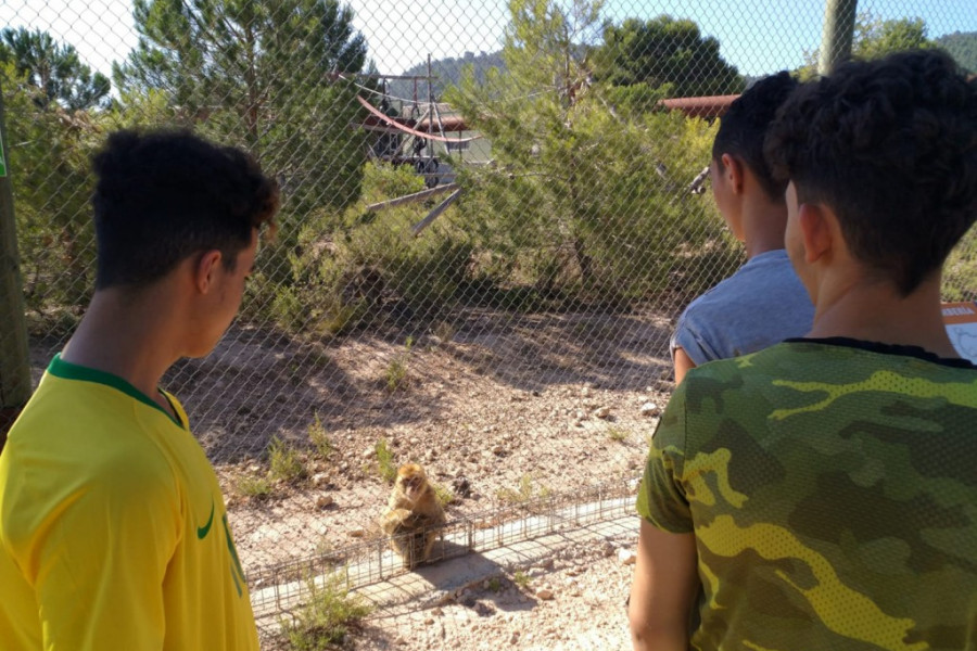 Los menores atendidos en el centro ‘La Atalaya’ de Villena (Alicante) visitan el centro de rescate de mamíferos exóticos AAP Primadomus. Fundación Diagrama. Comunidad Valenciana 2019.