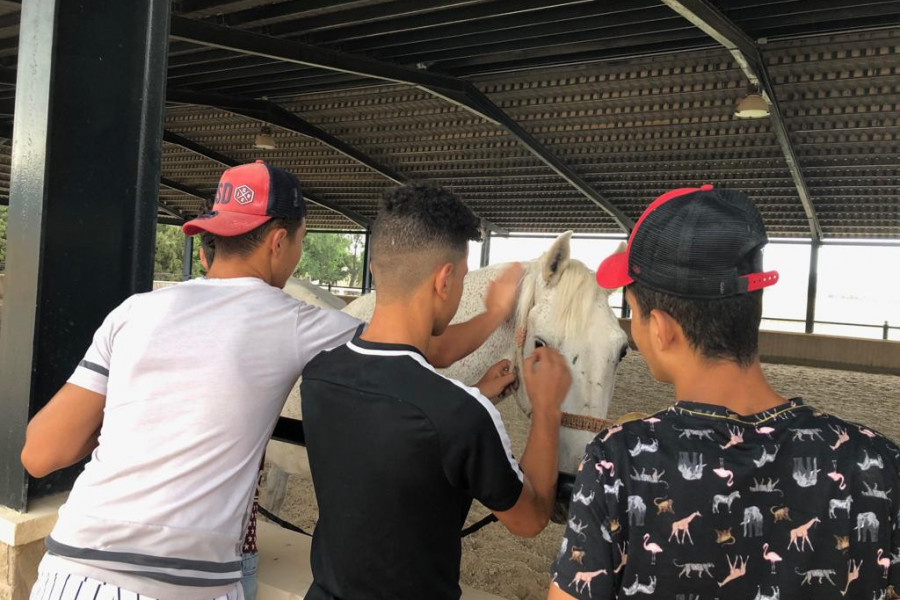 Los menores atendidos en el centro ‘La Atalaya’ de Villena (Alicante) descubren los beneficios de la equinoterapia. Fundación Diagrama. Comunidad Valenciana 2019.