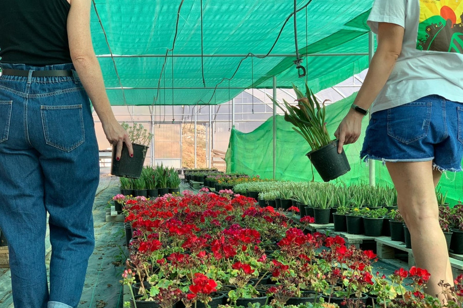 Los menores atendidos en el centro ‘La Zarza’ de Abanilla (Murcia) llevan a cabo un taller medioambiental de creación y cuidado de plantas ornamentales. Fundación Diagrama 2020.