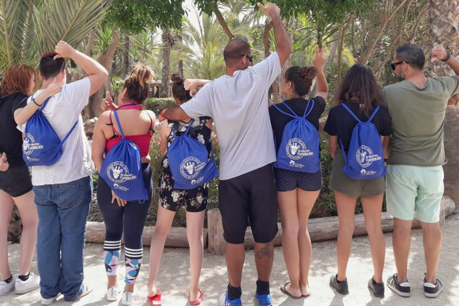 Los menores atendidos en el centro ‘Oriola’ de Orihuela (Alicante) realizan una actividad de terapia asistida con leones marinos