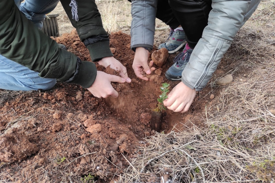 Los menores atendidos en el centro ‘Virgen de Valvanera’ de Logroño ayudan a plantar árboles en el Parque de La Grajera