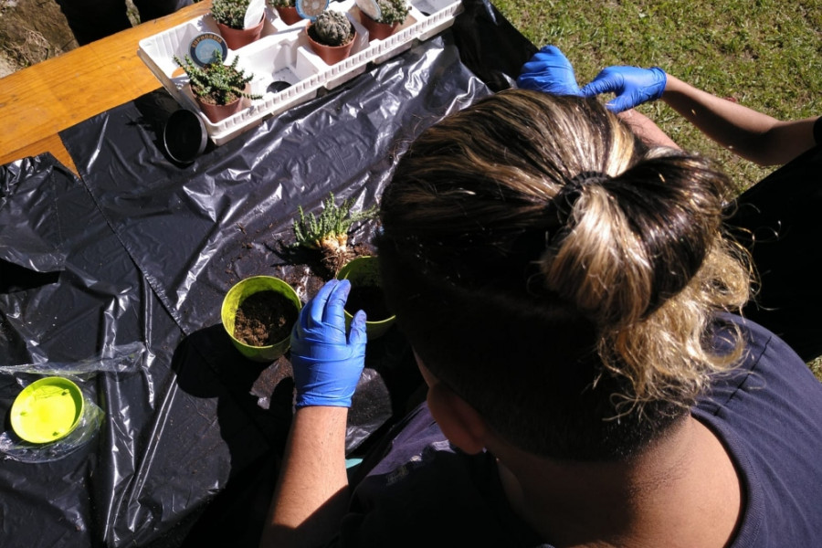 Los menores atendidos en la Unidad Residencial ‘El Haya’ de Colindes (Cantabria) llevan a cabo un taller de jardinería y manualidades. Fundación Diagrama. Cantabria 2020. 