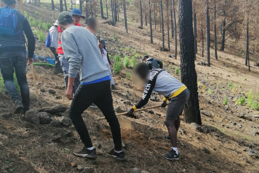 Los menores del centro de acogimiento ‘Cardones’ de Las Palmas de Gran Canaria colaboran en una actividad de reforestación en Valleseco. Fundación Diagrama 2020. 