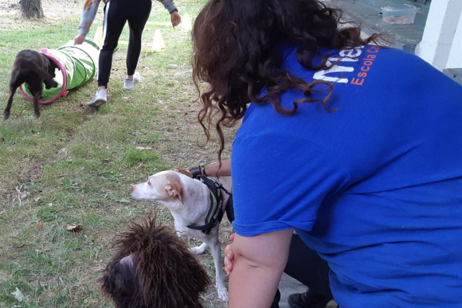 Los menores del centro ‘Montefiz’ de Ourense participan en una nueva edición del Programa de Terapia Asistida con Animales. Fundación Diagrama. Galicia 2019.