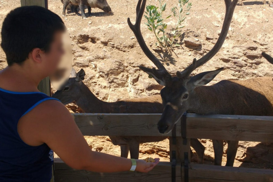 Los jóvenes del centro ‘Oriola’ de Orihuela (Alicante) realizan numerosas actividades en el parque Terra Natura de Murcia y en Riópar (Albacete). Fundación Diagrama. Comunidad Valenciana y Castilla-La Mancha 2018.