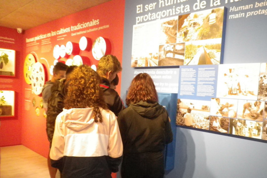 Los menores atendidos en el hogar de convivencia ‘Los Pinos’ de Molina de Segura descubren una parte de la historia de la Huerta de Murcia. Fundación Diagrama. Murcia 2019. 