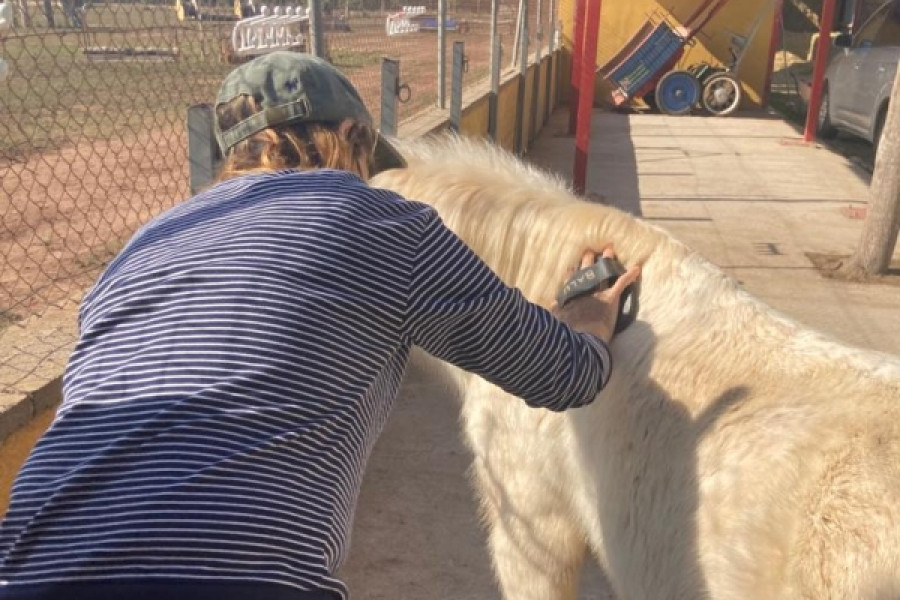 Las mujeres atendidas en la vivienda tutelada ‘Estreles de Mar’ de Castellón realizan una actividad terapéutica con caballos. Fundación Diagrama. Comunidad Valenciana 2022.