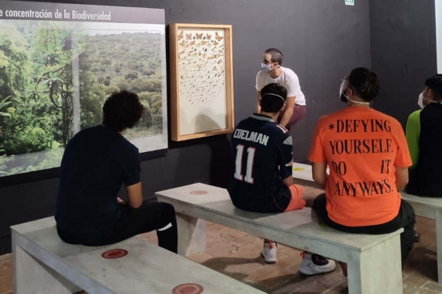 El Museo de la Biodiversidad del municipio de Ibi recibe la visita de las personas jóvenes atendidas en la residencia ‘La Villa’ de Villena (Alicante)