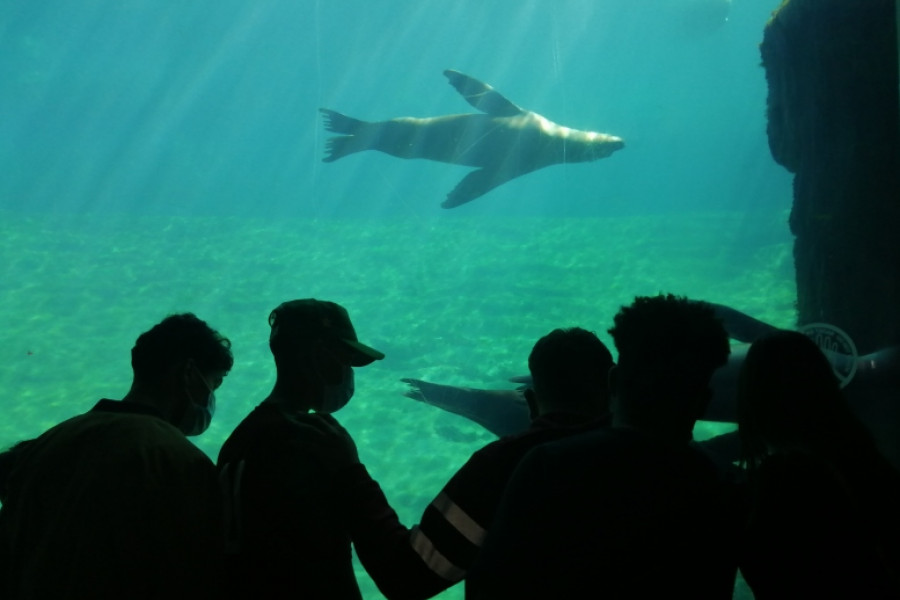 El Oceanogràfic de Valencia recibe la visita de los jóvenes atendidos en el hogar ‘Benalúa’ de Alicante