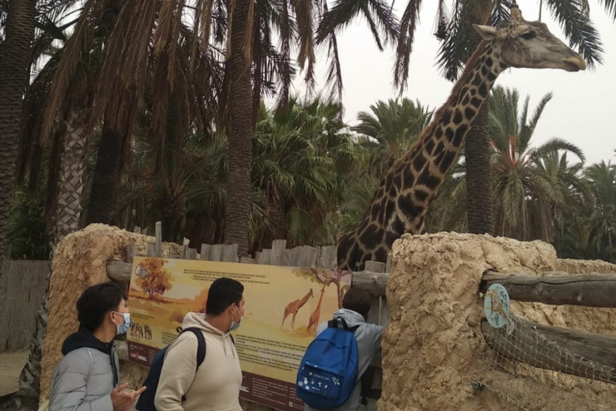 El parque zoológico Río Safari Elche recibe la visita de los jóvenes atendidos en el hogar ‘La Magrana’ de Alicante