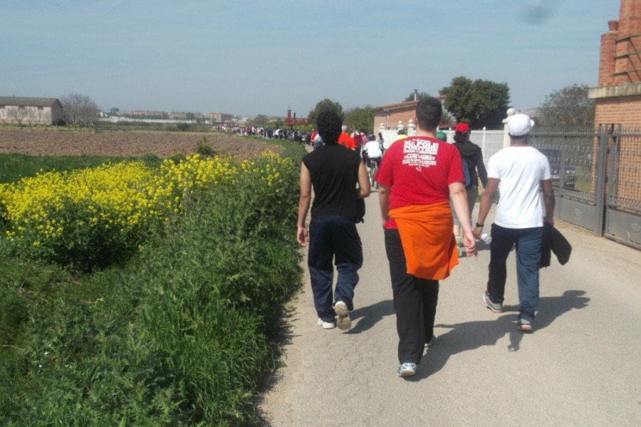 Paseos Saludables