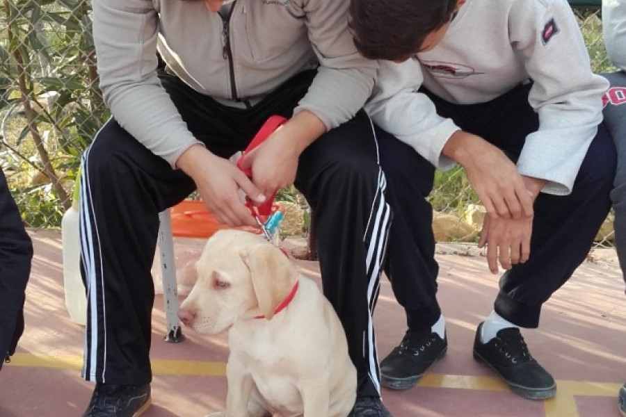 Menores del centro 'Els Reiets' en la exhibición de la Escuela de Adiestramiento Canino Solcan