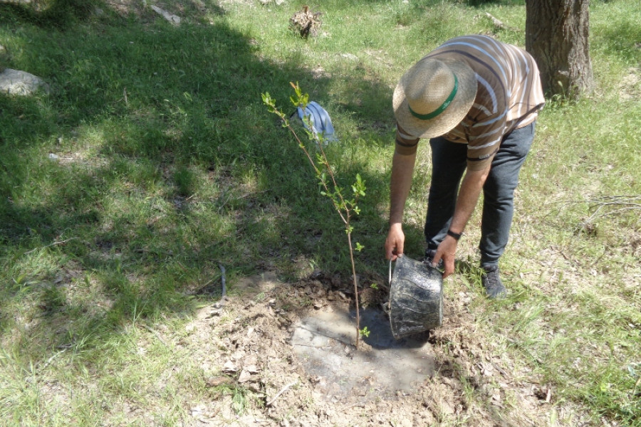 Personas atendidas en el Centro para la Atención de la Enfermedad Mental ‘Altavida’ de Abanilla colaboran en la plantación de cerca de 100 árboles en el cauce del río Segura