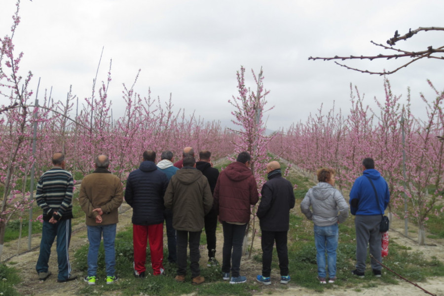 Personas atendidas en el Centro para la Atención de la Enfermedad Mental ‘Altavida’ de Abanilla realizan una ruta con motivo de la floración de Cieza. Fundación Diagrama. Murcia 2020. 