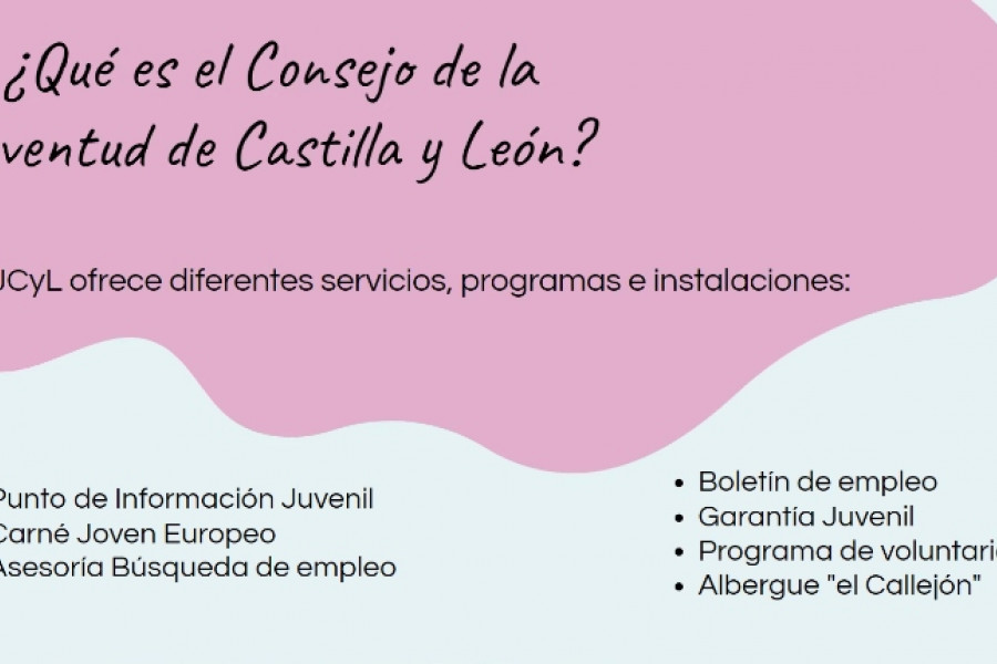 Personas atendidas en el Programa FENDE de Castilla y León participan en un taller sobre el Sistema Nacional de Garantía Juvenil y el Consejo de la Juventud