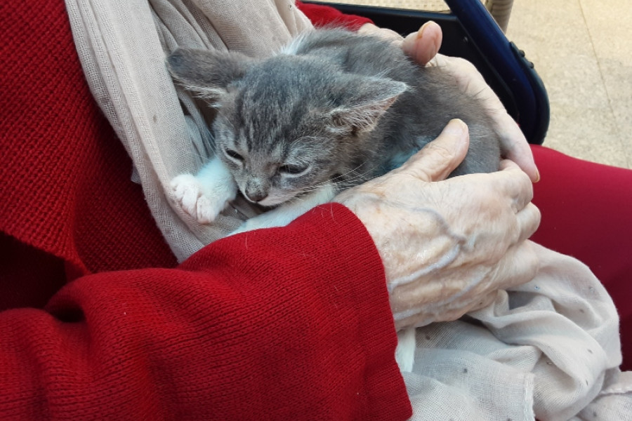 Las personas atendidas en la residencia ‘Nuevo Azahar’ de Archena (Murcia) celebran el Día Mundial de los Animales