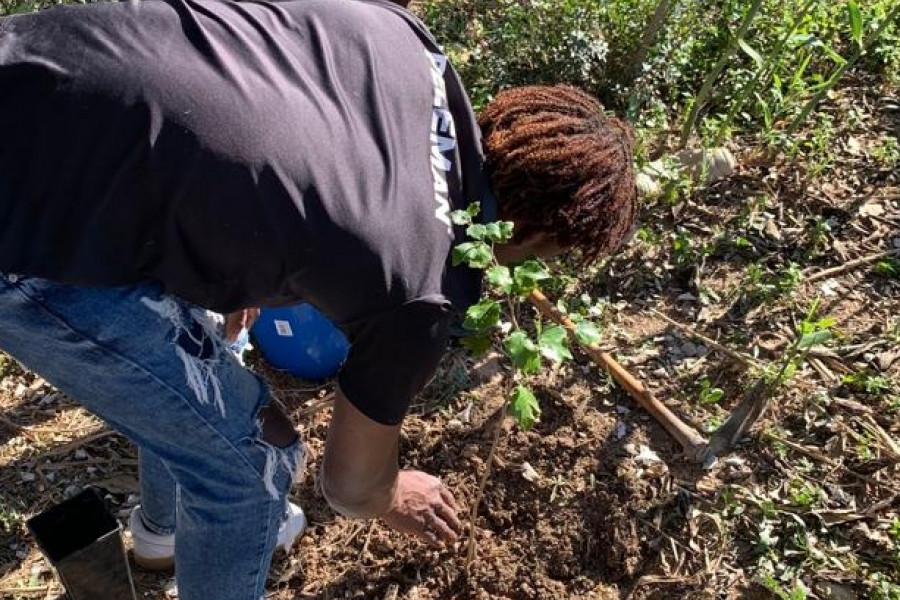 Las personas jóvenes atendidas en la residencia 'Ausiàs March' de Xàtiva (Valencia) colaboran en la reforestación del Parque Fluvial del Túria
