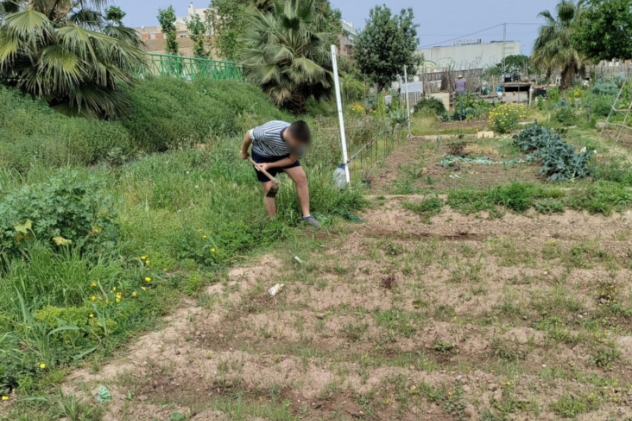Las personas jóvenes atendidas en la Residencia ‘Mariano Ribera’ de Burjassot (Valencia) participan en la creación de un huerto ecológico. Fundación Diagrama. Comunidad Valenciana 2022