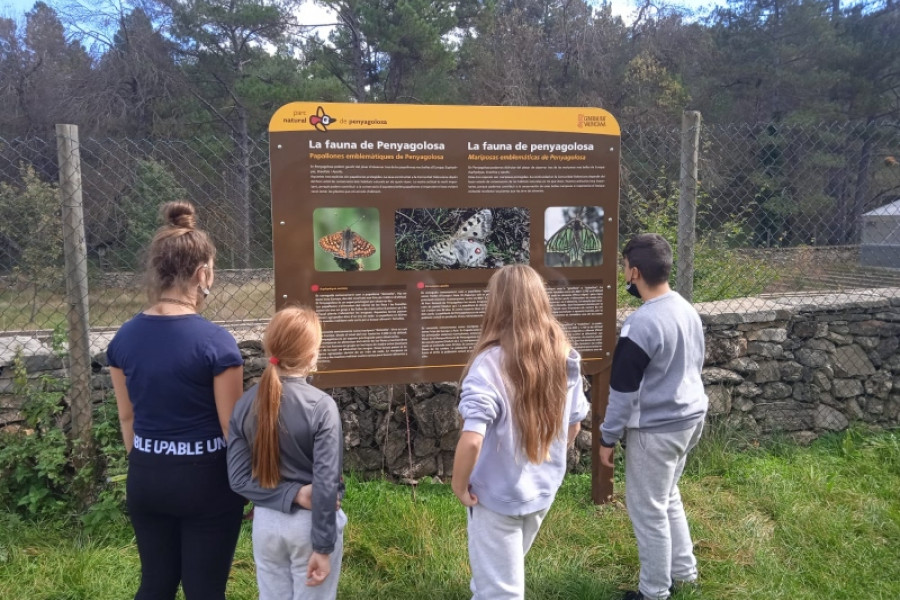 Las personas jóvenes de la Residencia 'Sant Sebastià' de Vinaròs llevan a cabo una actividad medioambiental en el Parque Natural Sant Joan de Penyagolosa
