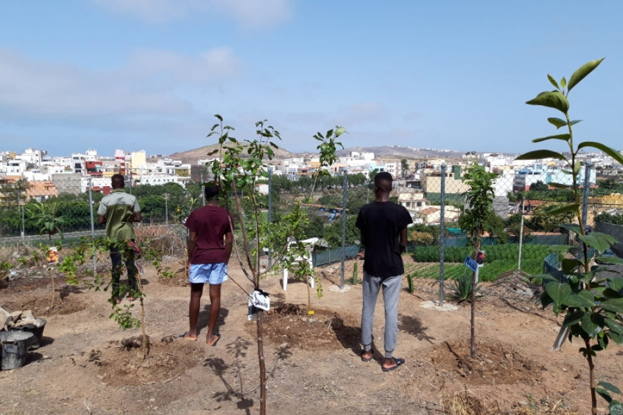 Las personas menores atendidas en el centro ‘Cardones’ de Las Palmas de Gran Canaria refuerzan su educación medioambiental con la plantación de varios árboles