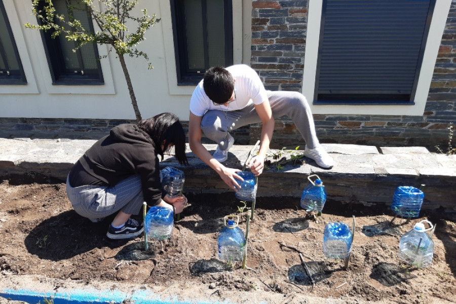Las personas menores atendidas en el centro ‘Montealegre’ de Ourense realizan numerosas labores en el huerto ecológico del recurso. Fundación Diagrama. Galicia 2022.