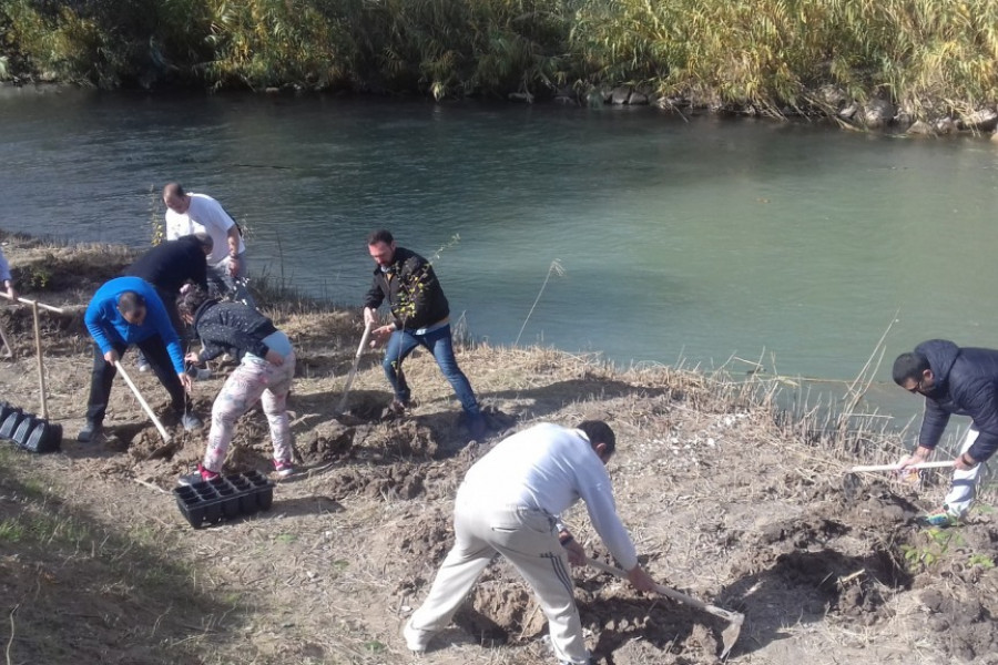 Personas atendidas en la residencia ‘Altavida’ de Abanilla colaboran en una actividad de reforestación en Cieza. Fundación Diagrama. Murcia 2018.