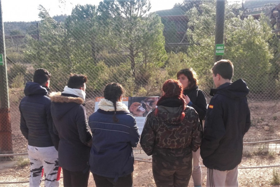 Los menores atendidos en ‘Els Reiets’ de Alicante visitan el centro de recuperación de animales exóticos AAP Primadomus