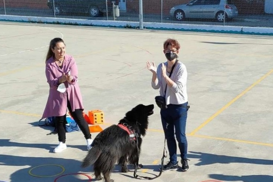 Profesionales del Programa FENDE de Castilla y León realizan una actividad sobre terapia canina en el colegio Lola Herrera. Fundación Diagrama. Castilla y León 2022.