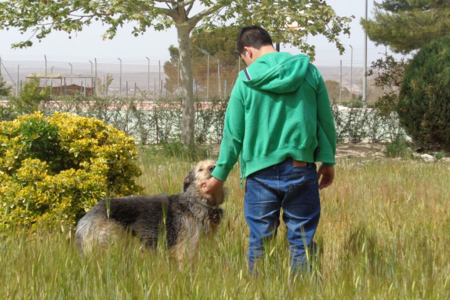 Los menores del centro ‘La Villa’ de Villena realizan un voluntariado en la Sociedad Protectora de Animales y Plantas de la localidad